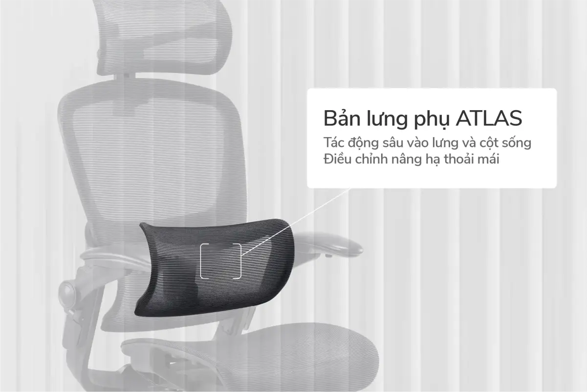 Bản lưng ATLAS độc lập trên ghế EasyChair