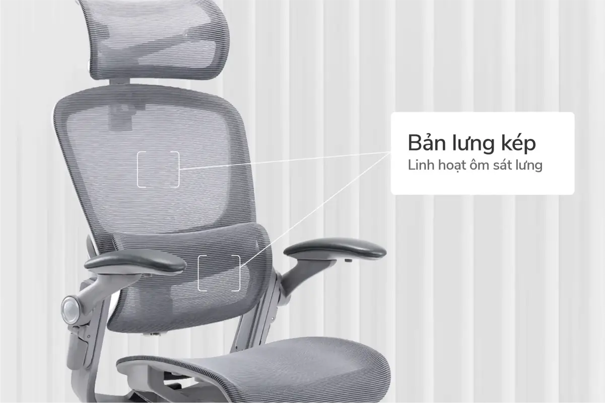 Bản lưng kép ghế công thái học