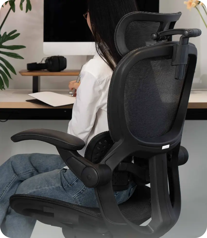 Highlight ghế Epione SynoChair