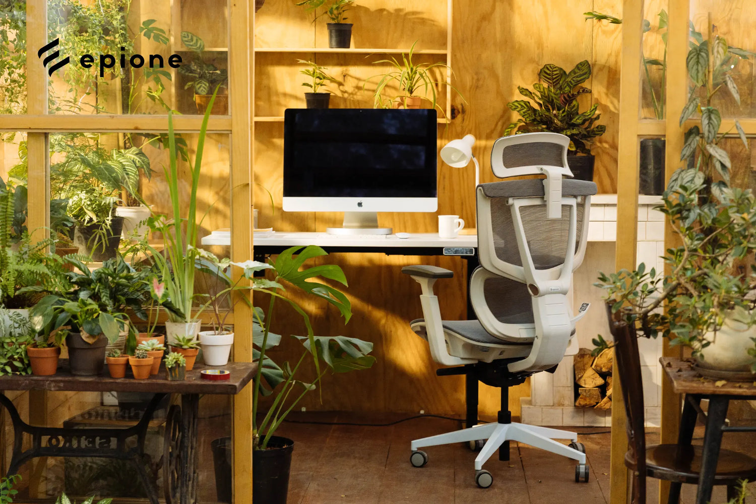 Trang trí thêm cây xanh cho góc setup