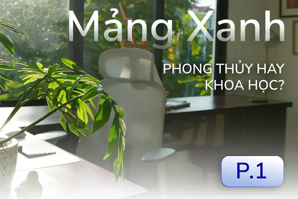 Tăng năng lượng – Giảm stress: góc setup xanh đúng chuẩn gen Z