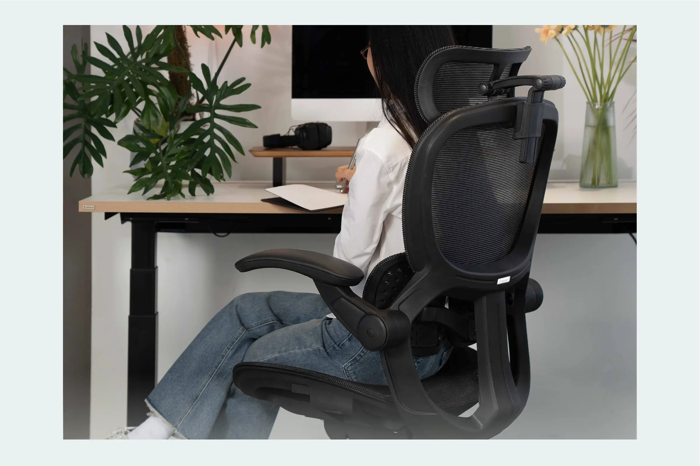 Tổng quan lưng ghế SynoChair